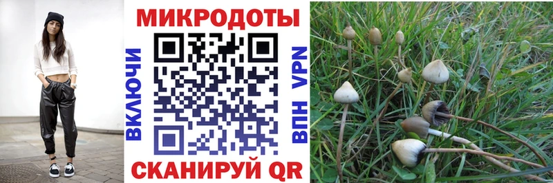 Псилоцибиновые грибы мухоморы  Сортавала 