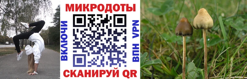 Галлюциногенные грибы ЛСД Сортавала